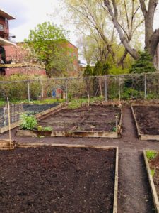 Jardin communautaire